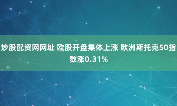 炒股配资网网址 欧股开盘集体上涨 欧洲斯托克50指数涨0.31%