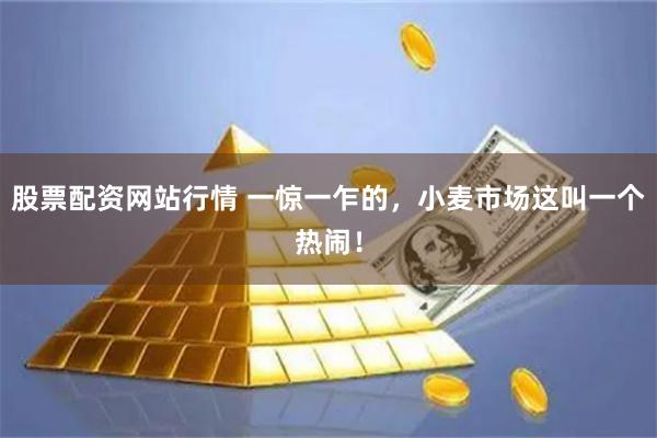 股票配资网站行情 一惊一乍的，小麦市场这叫一个热闹！