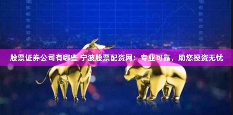 股票证券公司有哪些 宁波股票配资网：专业可靠，助您投资无忧
